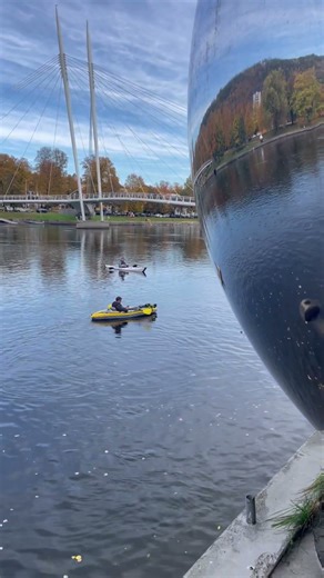 Mirror magic Ball Art #art #mirrorwork