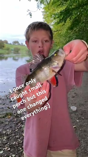 Big perch #fishing #realfisherman #fish