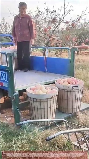 Effortless Farming: Loading Heavy Crates with a DIY Hydraulic Lift Gate