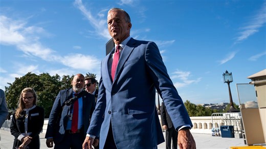 Moderate Democrats at center of shutdown pressure campaign