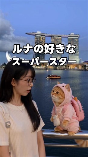 ルナはなぜシンガポールに詳しいの？#猫のいる暮らし #猫のいる生活 #癒やし #猫可愛い #猫好きさんと繋がりたい