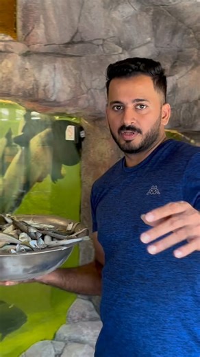 989K views · 14K reactions | Cat fish feeding | PET STATION | Facebook