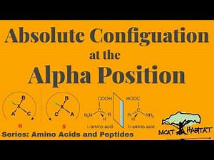 Absolute Configuration at the Alpha Carbon - Amino Acids & Peptides
