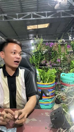 (Tham Khảo Mặt Hoa ) Hotline:090.317.7978 ☎️☎️