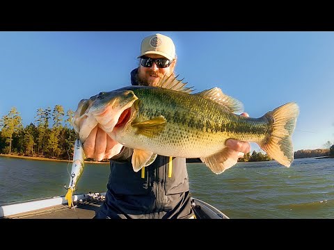 Fall Fishing For Bass Is Easy!! (Here's How We Do It)