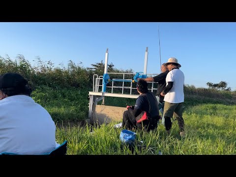 【小物釣り】近所の用水路で宝石みたいな魚を釣りました。【宮城県】【タナゴ探しの旅】A journey to find tanago