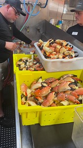 Walt's Fish Market, Restaurant and Tiki Bar on Reels