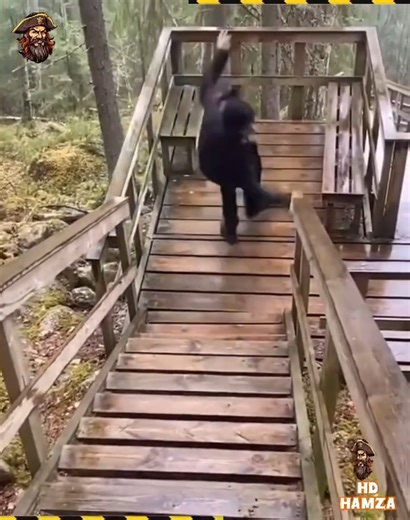 10K views · 94 reactions | Watch this high-speed collision caught on...