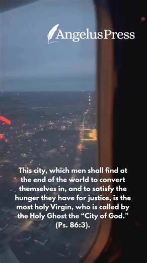 Prepare yourself for making a Consecration to Mary! https://angeluspress.org/products/consecration-mary | Angelus Press