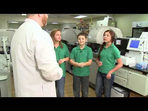 What happens in a hospital LABORATORY?