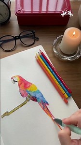 Watch @duslerinfircasi paints with the Albrecht Dürer Watercolor Pencils