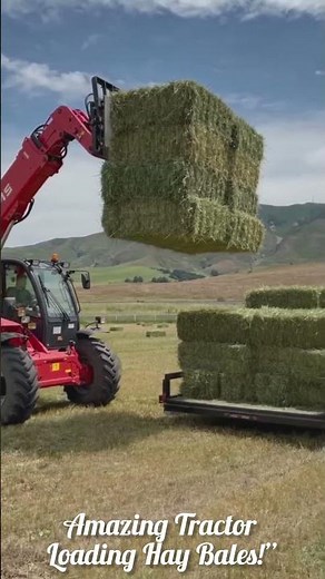 Amazing Tractor Loading Hay Bales 🚜 | Fast Bale Loading Machine at Work #tractor #loading #haybale