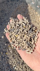 Here’s the ultimate winter feed mix for your backyard chicken flock! Head to the link in our bio to get your @scratchandpeckfeeds and use code BANDRHOMESTEAD15 for 15% off your order! #homestead #foilhatgang #homesteader #backyardchickens #chickensofinstagram #raisingchickens #relatable | B&R Homestead