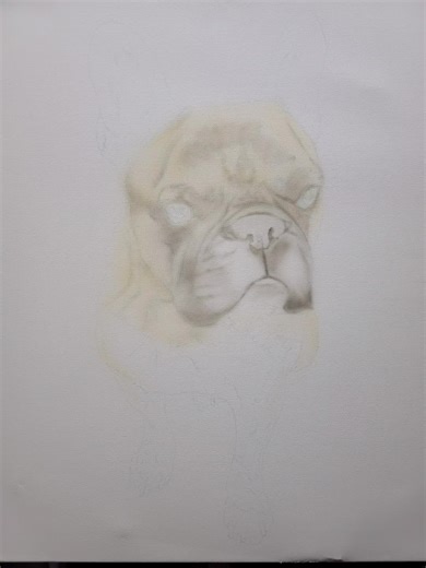 completed another painting for the same pet owner now she will get all three. #airbrush #airbrushing #animals #fyp #viraltiktok #viral_video #mypainting #paint #viral #nature #realisticart #artist #spray