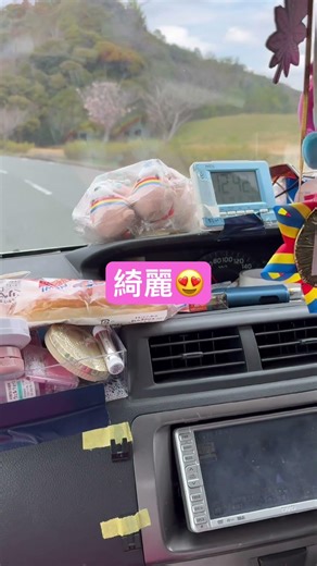 桜並木をドライブ🚙 #shout #shouts #ドライブ #お出かけvlog #夫婦