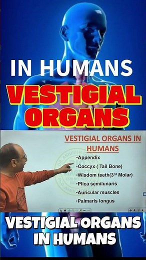 VESTIGIAL ORGANS IN HUMANS I DR. ASHISHH GUPTA INEET I JAM I CSIR I GATE I PGT-BIOLOGY I TGT SCIENCE