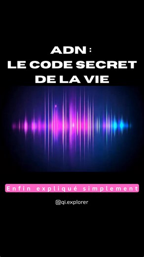 🧬 ADN : Le Code Secret de la Vie (Enfin expliqué simplement) Dans cette vidéo, on plonge au cœur de la biologie pour comprendre ce qu’est réellement l’ADN. Comment fonctionne cette incroyable molécule ? Pourquoi est-elle considérée comme le plan de construction de tous les êtres vivants ? Et comment influencie-t-elle notre apparence, notre santé, et même notre évolution ? Au programme : 🔹 Comment l’ADN est structuré (double hélice, bases A-T / C-G) 🔹 Comment il stocke l’information biologique