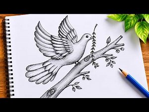 Easy Bird on Branch Drawing Step by Step | Beautiful Bird Pencil Sketch for Beginners