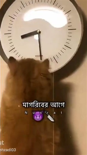 রমজানে আমার বান্ধবী যা করে