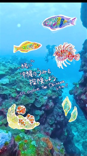楽しいイラストと一緒にみんなでダイビング気分を楽しめる動画を作りました🐠🤿#イラスト #アート #魚 #理科