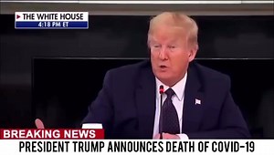 Perplexed Perceptions on Reels