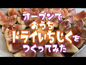 自家製ドライいちじくを作ってみた◆家庭菜園◆いちじく◆無花果◆ドライフルーツ◆Dry Fig