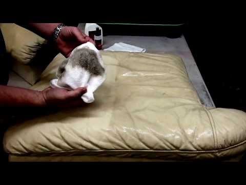 How to Clean and Protect a leather couch.