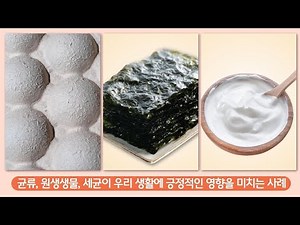 [Visang Education] Elementary Science 5-1: Exploring Examples of How Various Organisms Affect Our...