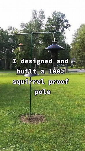 Botanical Inspired Art: Building a Squirrel Proof Bird Feeder