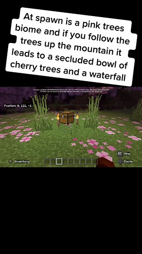 Exploring a Pink Trees Biome in Minecraft