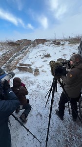 Out with the group this morning up Cairngorm mountain photographing Snow Buntings, birds are fantastic but the weather is brutal, really strong easterly wind 🥶🥶🥶 | Gary Jones Wildlife Photography
