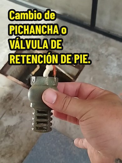 Cambio de Pichancha: Guía Completa de Plomería