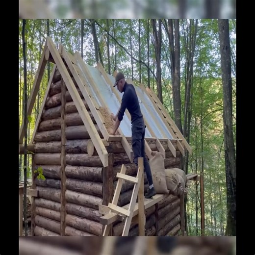 Big house made of logs in the forest #bushcraft | Birdees