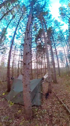 Late Fall Camp With Friends - Tent Village Tour in the Woods #camping #outdoors #campingshorts