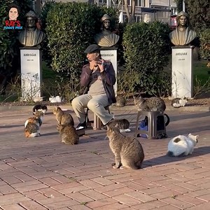 7.5K views · 85 reactions | KING SLOT on Reels | Facebook