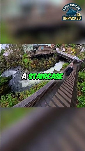 Salmon Ladder: The Genius Invention That Saved Salmon! #shorts