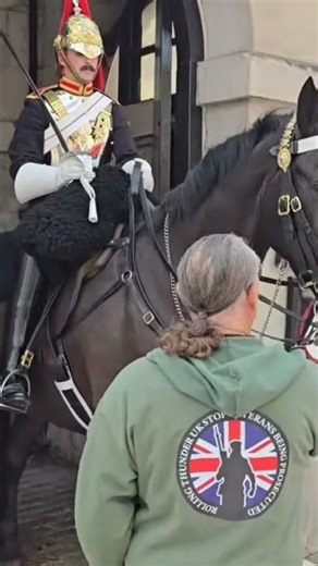 VETERAN FEEDS HORSE A 🥕 CAROT #kingsguard