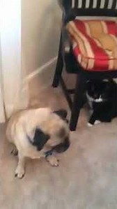 6 Simple Machines Project