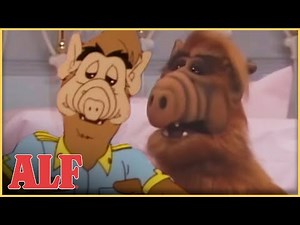 ALF IRL and Animated! | ALF | Compilation
