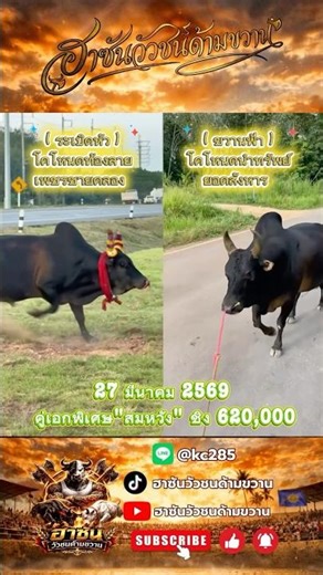 27 มีนาคม 2569คู่เอกพิเศษ"สมหวัง" ชิง 620,000 (ระเบิดหัว) พบ (ขวานฟ้า)