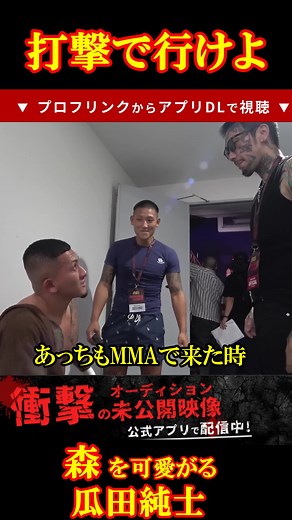 筋を通した森のブレイキングダウン