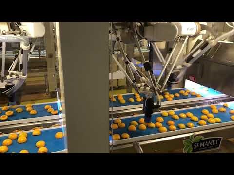Vacuum suction Grippers for handling fruits made by GRIPWIQ Omron delta robots Reliable application