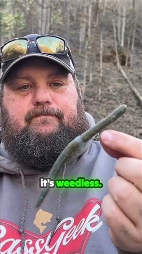 Chicken Rig Catches More Bass #fishing #tutorial