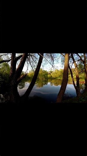 Soothing ASMR Blossom Glow Experience #FlowerShine #ASMRMagic