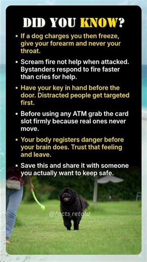 Learn These 5 Safety Tricks Before It's Too Late