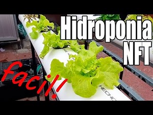 Como Hacer sistema hidroponico NFT mas facil! || México Verde