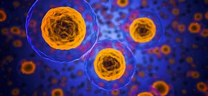 Parts of the Human Immune System Trace Back to Ancient Bacteria | Cell And Molecular Biology