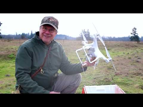 Training Falcons With a Drone (Part 1)