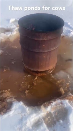 Easy Pond Heater for Livestock