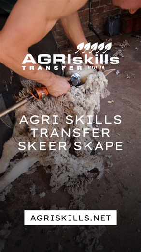 14 reactions | Agri Skills Transfer SKEER skape! Ons het die...